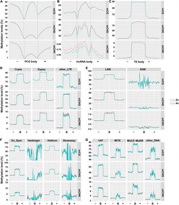 DNA Methylome and LncRNAome Analysis Provide Insights Into Mechanisms of Genome-Dosage Effects in Autotetraploid Cassava